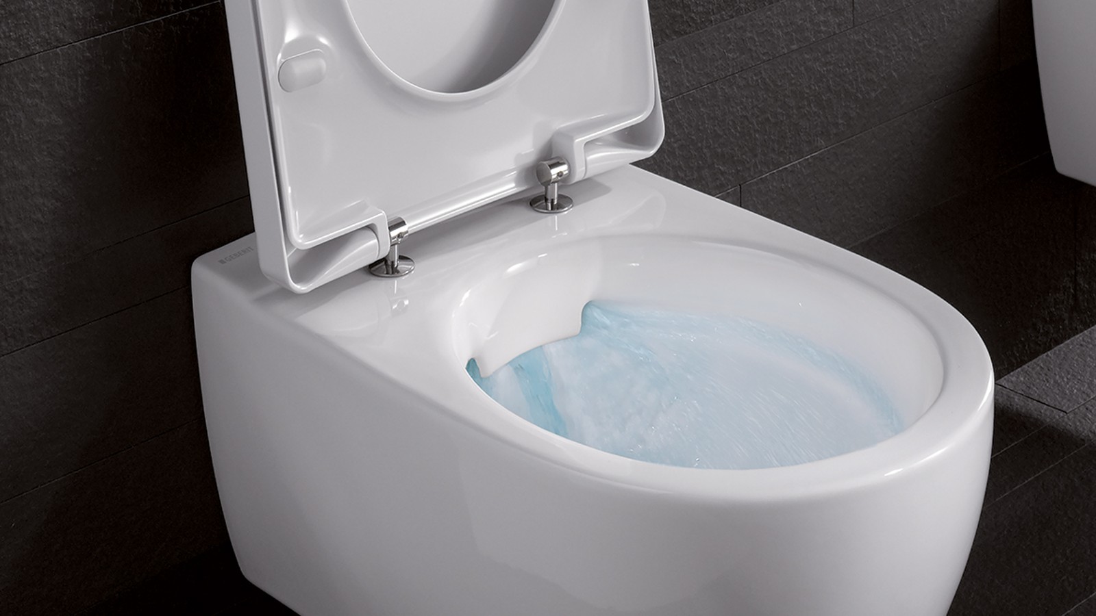 Geberit Rimfree Geberit Rimfree