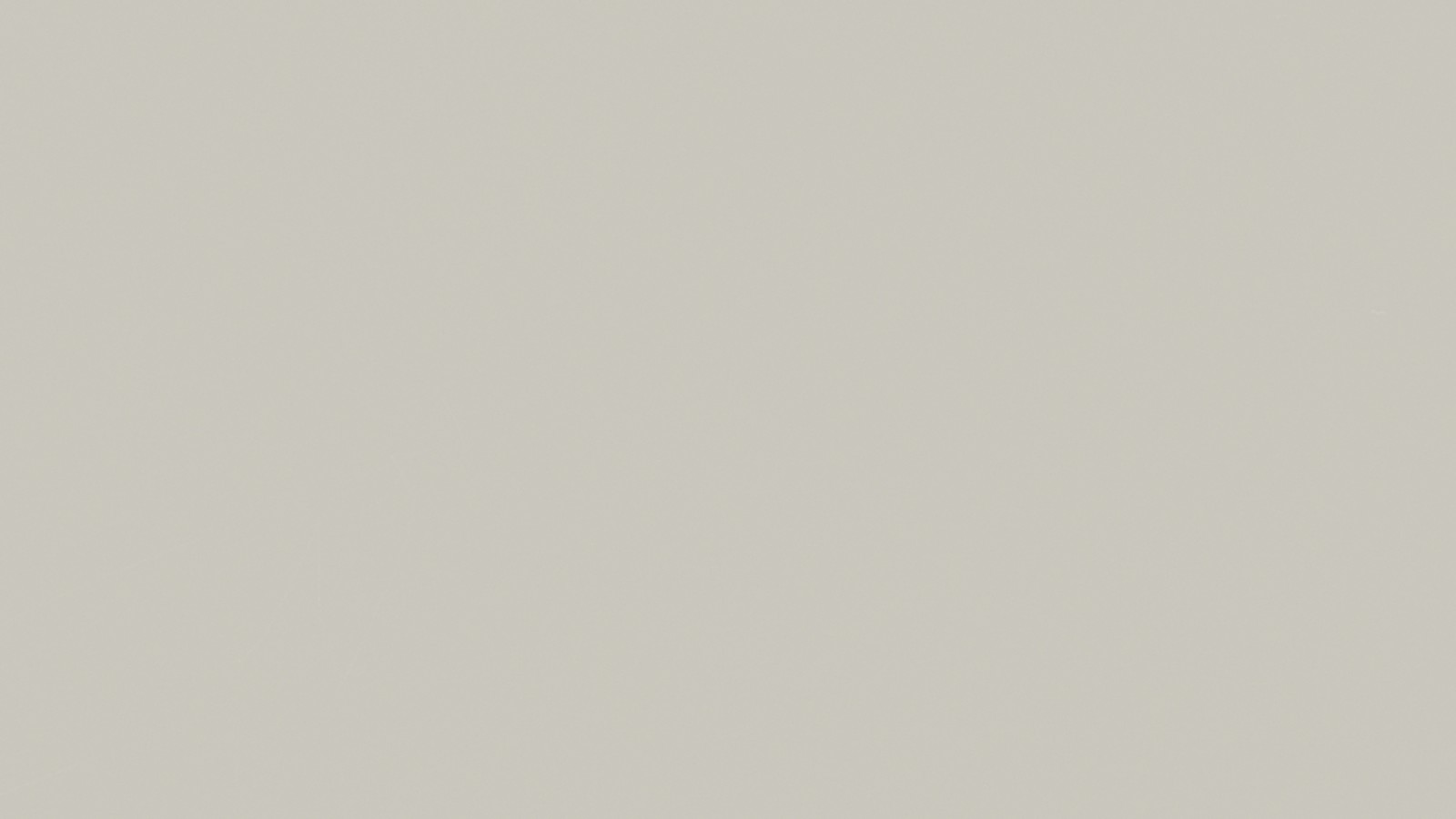 Lichtgrijs hoogglans gelakt Lichtgrijs hoogglans gelakt