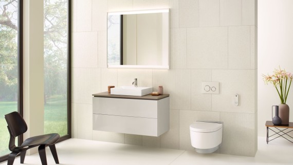 Witte badkamer met spiegelkast, wastafelonderkast, bedieningsplaat en wc van Geberit