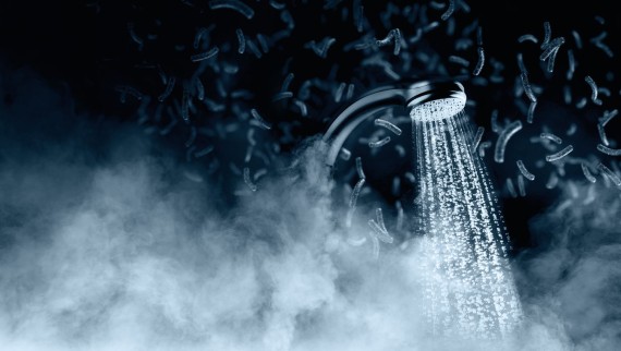 Bacteriën vermenigvuldigen zich in drinkwater wanneer ze goede omstandigheden aantreffen Bacteriën vermenigvuldigen zich in drinkwater wanneer ze goede omstandigheden aantreffen
